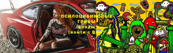 прущий лед Рославль