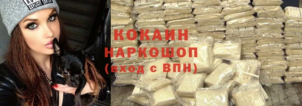 стафф Алзамай