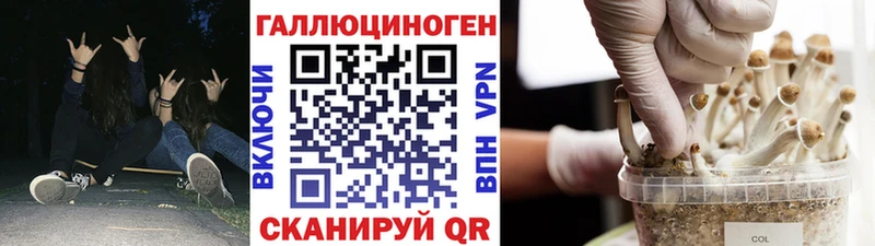 Галлюциногенные грибы мицелий  Новомичуринск 